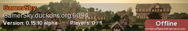 GamerSky