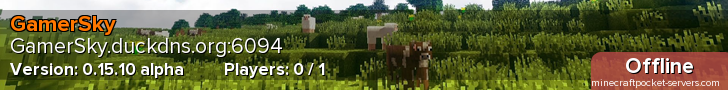 GamerSky