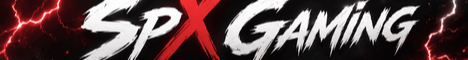 SpX Gaming