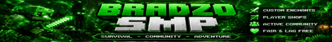 Bradge SMP